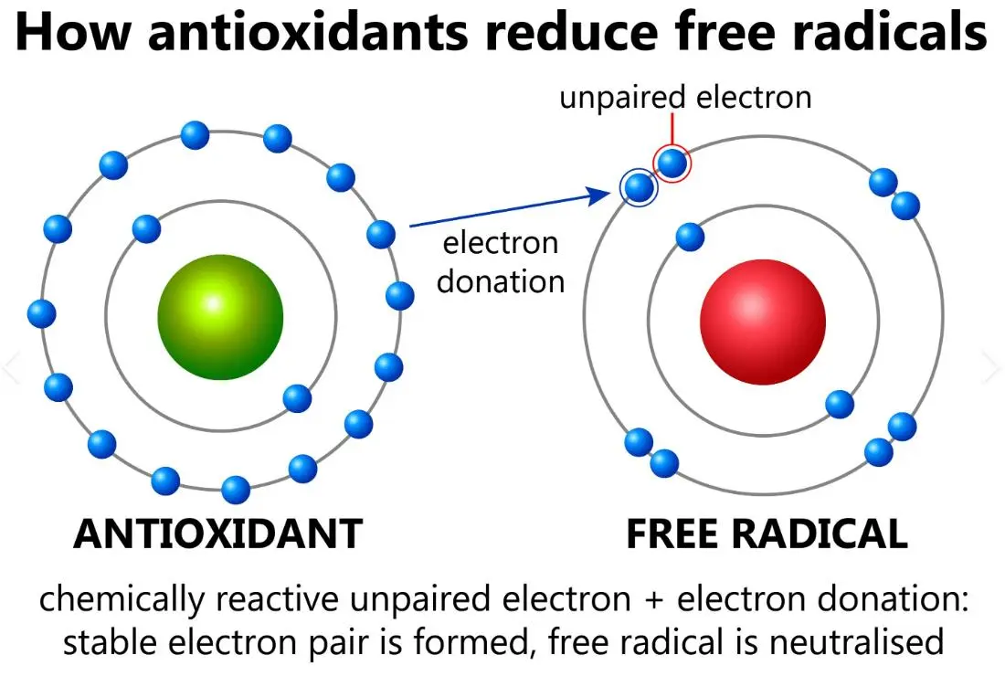 Antioxidant Properties.jpg